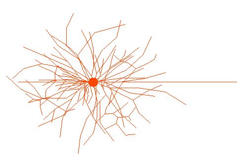 2D projection in the z plane